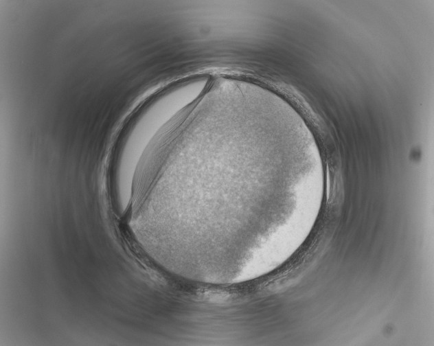 X0000116630531201001221402