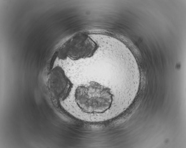 X0000116630533201001221403