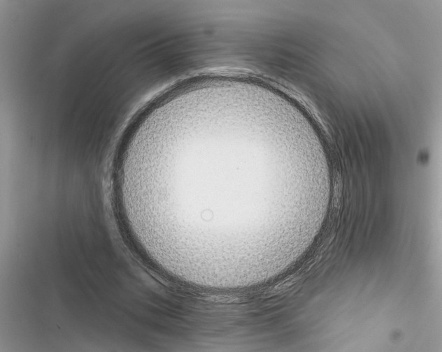 X0000116630535201001221403