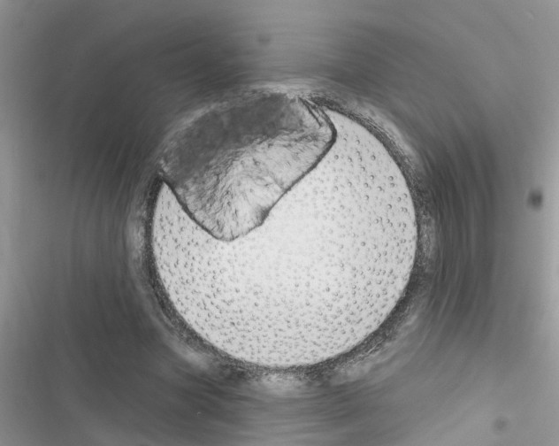 X0000116630537201001221403