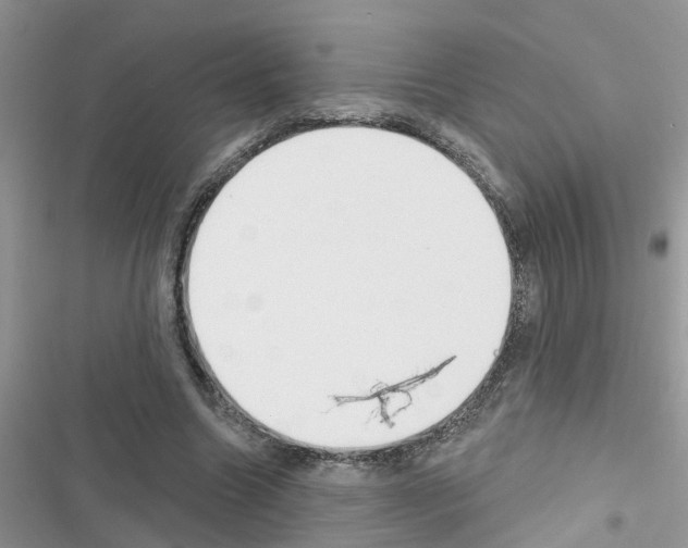 X0000116630538201001221403