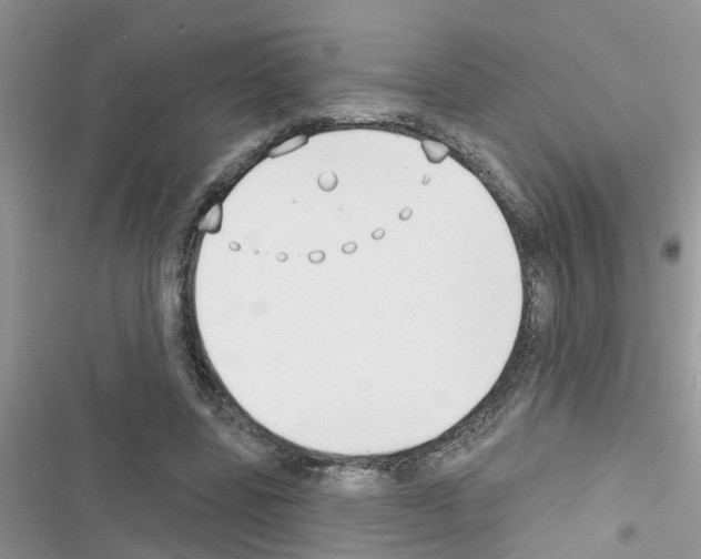 X0000116630539201001221403