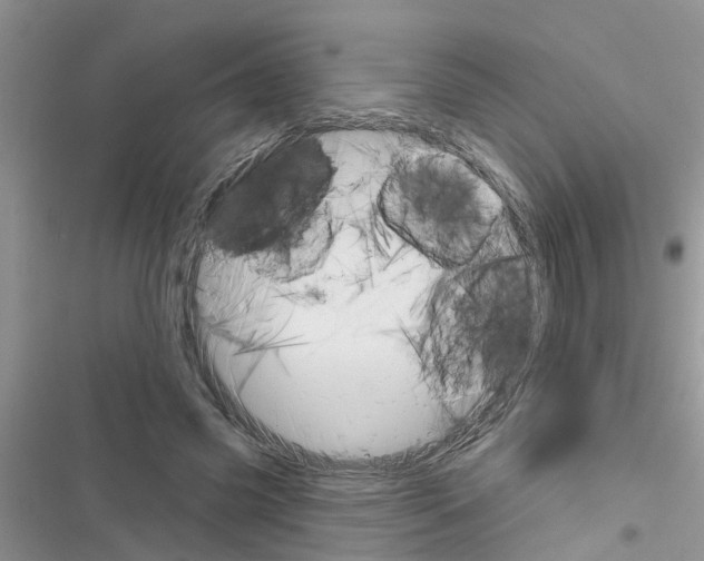 X0000116630541201001221403