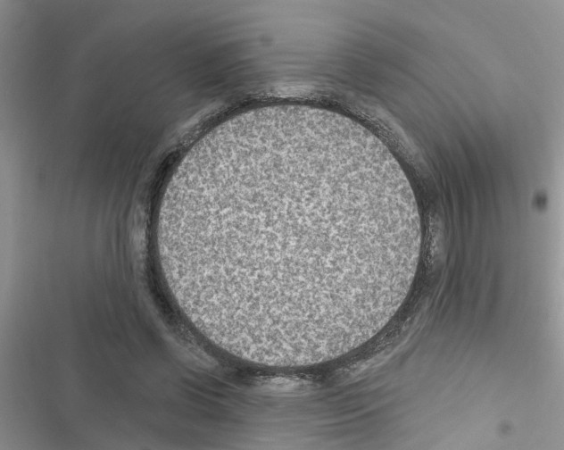 X0000116630542201001221403