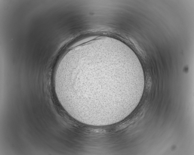 X0000116630543201001221403