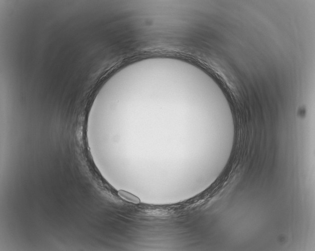 X0000116630545201001221403