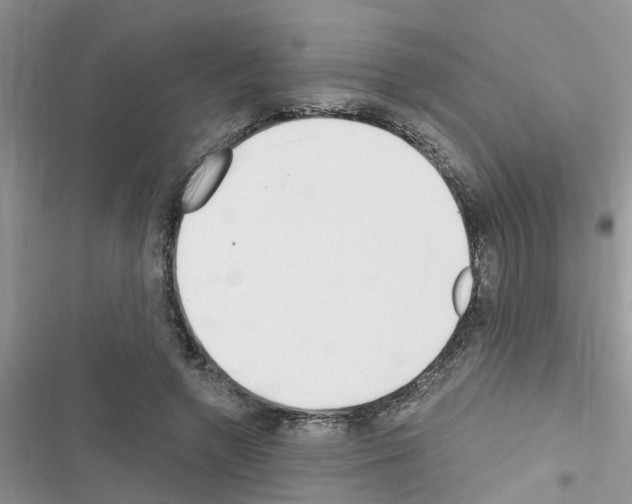 X0000116630546201001221403