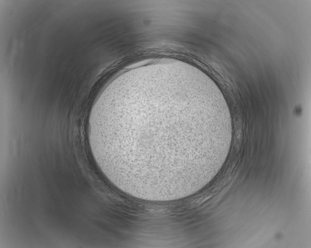 X0000116630547201001221403