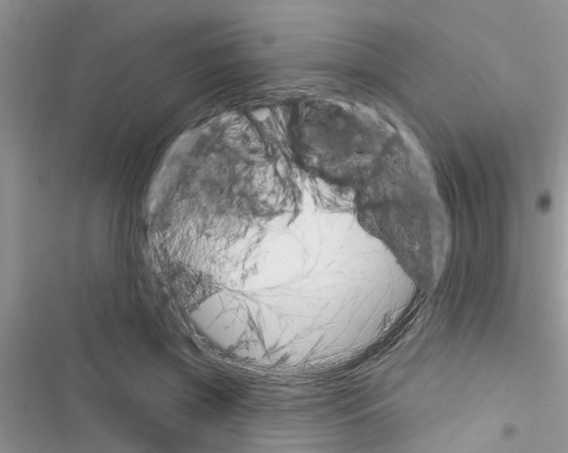 X0000116630549201001221403