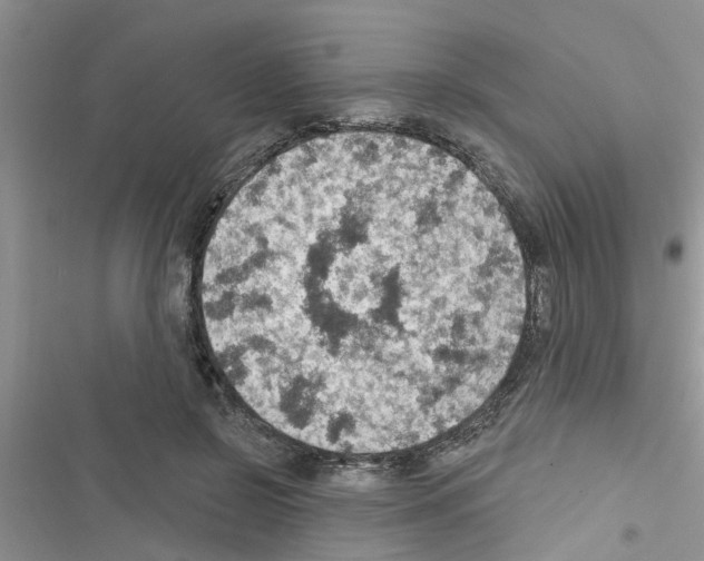 X0000116630550201001221403