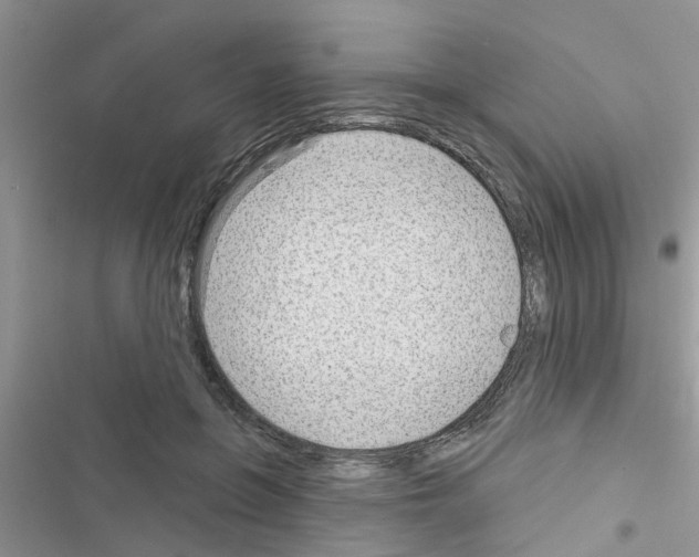 X0000116630551201001221403