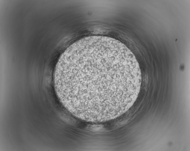 X0000116630554201001221403