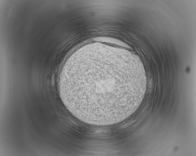 X0000116630555201001221403
