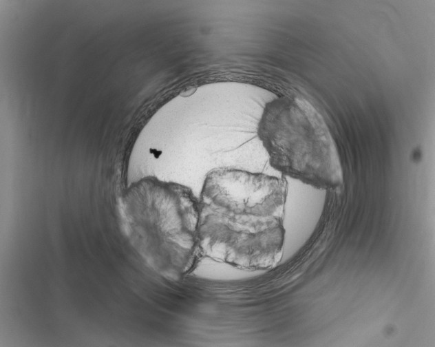 X0000116630557201001221403