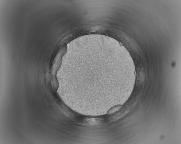 X0000116630558201001221403