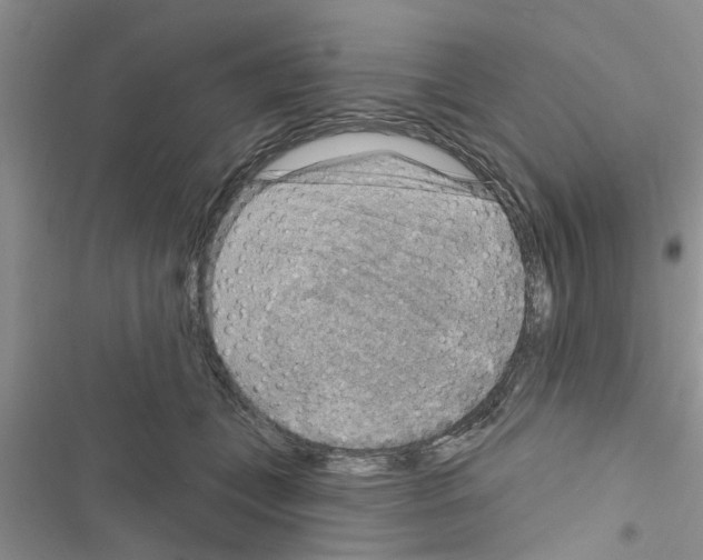 X0000116630559201001221403
