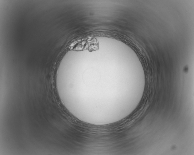 X0000116630561201001221403