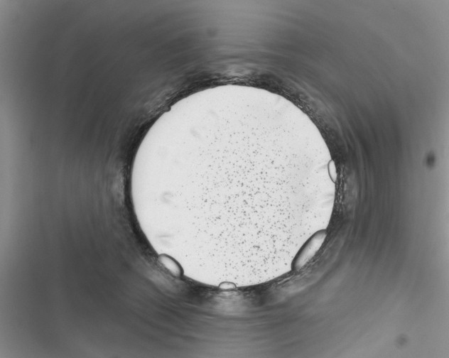 X0000116630562201001221403