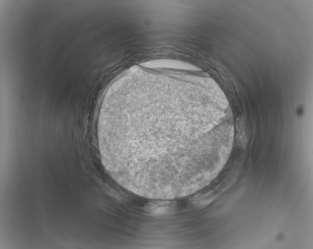 X0000116630563201001221403