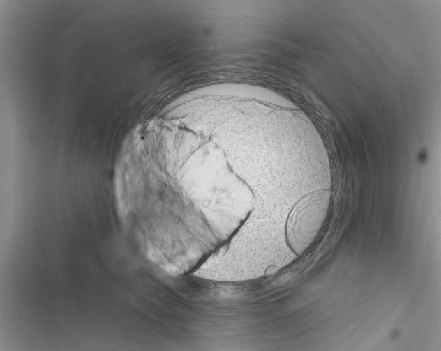 X0000116630565201001221403