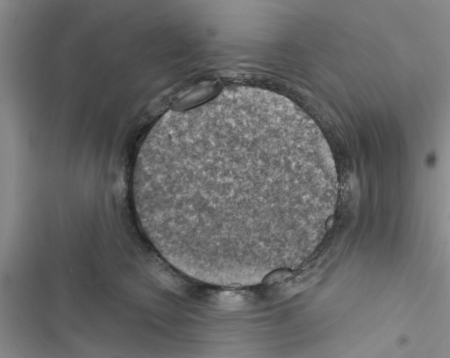 X0000116630566201001221403