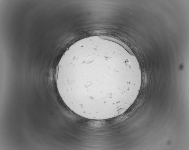 X0000116630567201001221403