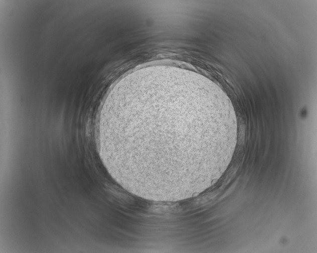 X0000116630571201001221403