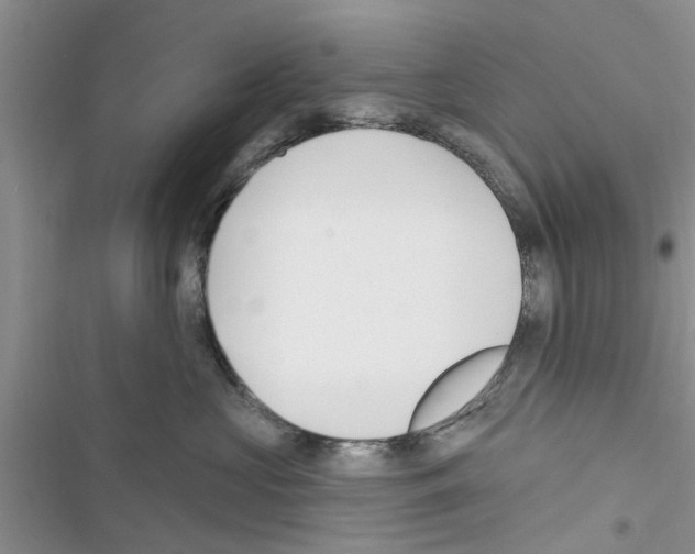 X0000116630573201001221403