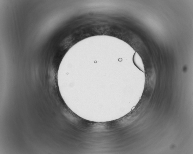 X0000116630574201001221403