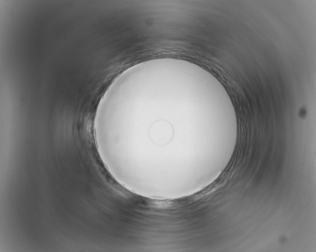 X0000116630575201001221403