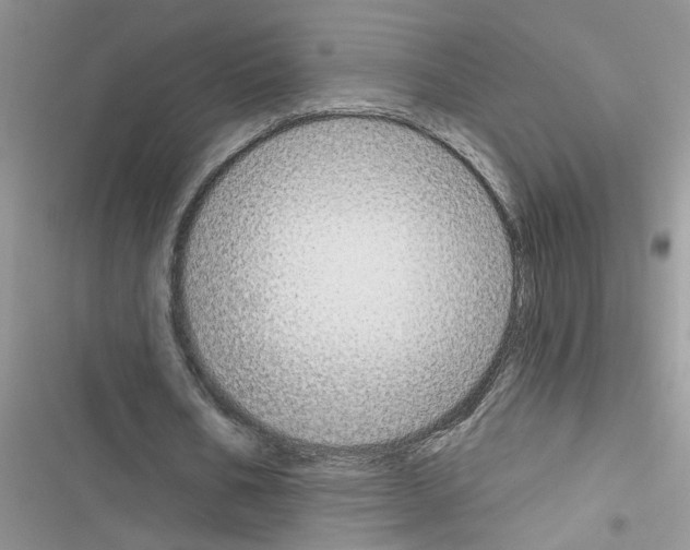 X0000116630578201001221402