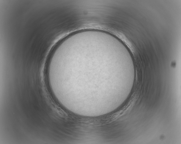 X0000116630579201001221402