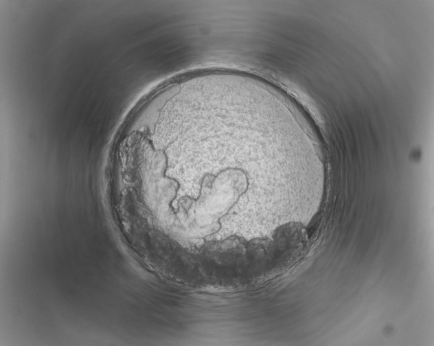 X0000116630580201001221402