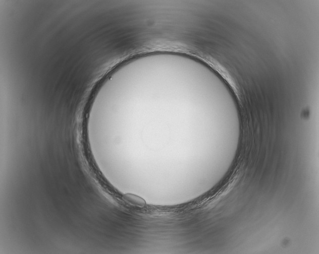 X0000116630581201001221402