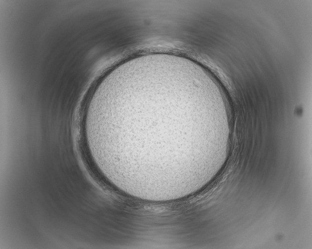 X0000116630582201001221402