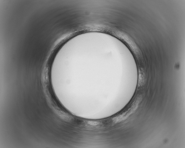 X0000116630583201001221402