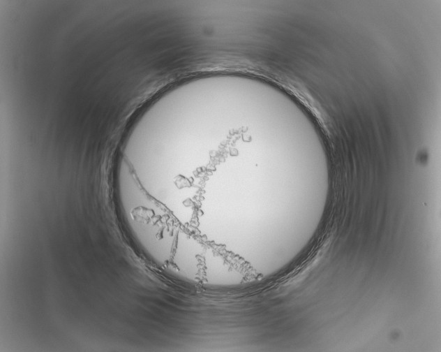 X0000116630585201001221402