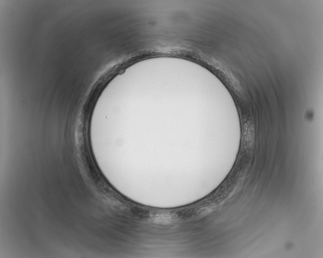 X0000116630587201001221402