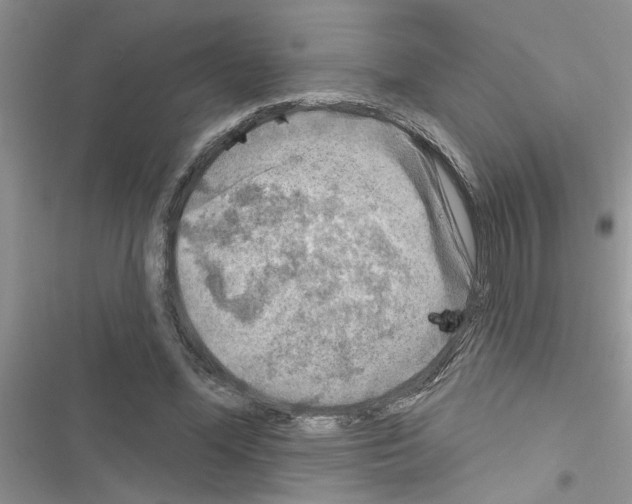 X0000116630588201001221402