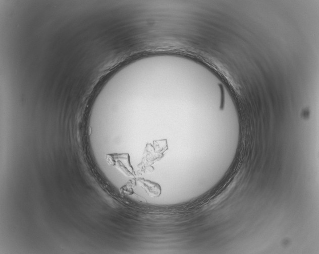 X0000116630589201001221402