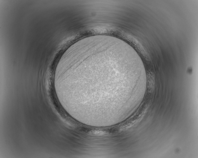 X0000116630590201001221402