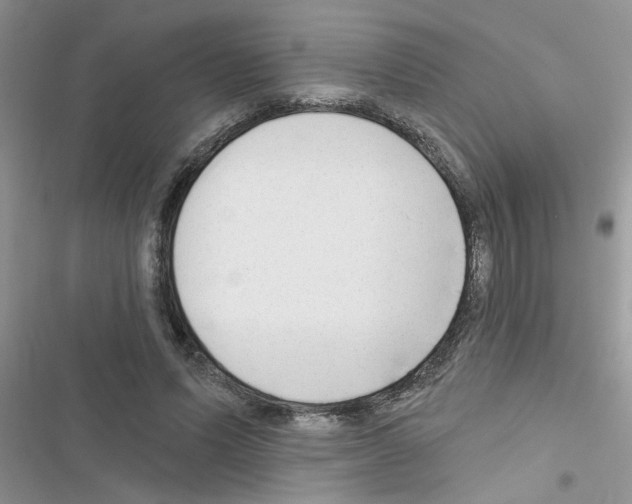 X0000116630591201001221402