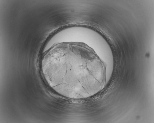 X0000116630592201001221402
