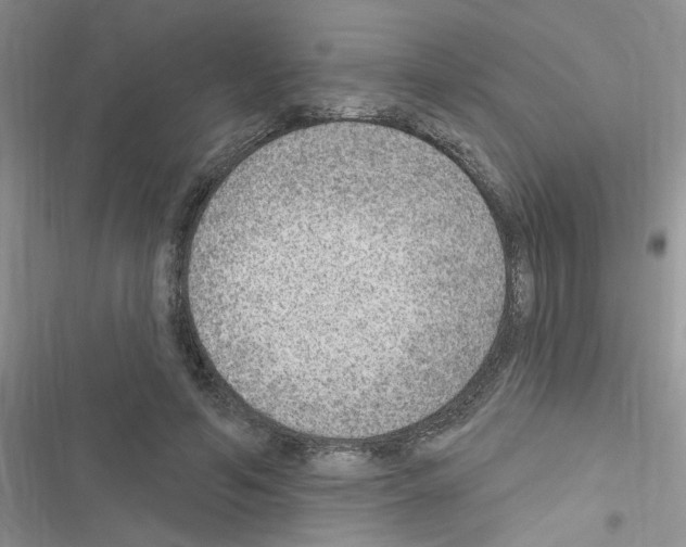 X0000116630594201001221402