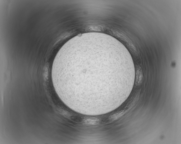 X0000116630595201001221402