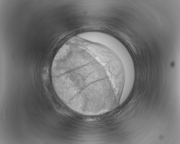 X0000116630596201001221402