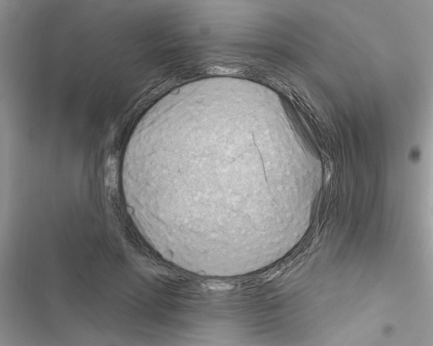 X0000116630598201001221402