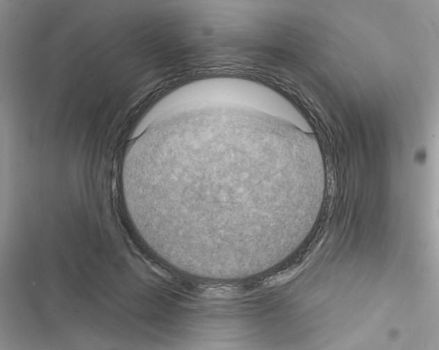 X0000116630599201001221402