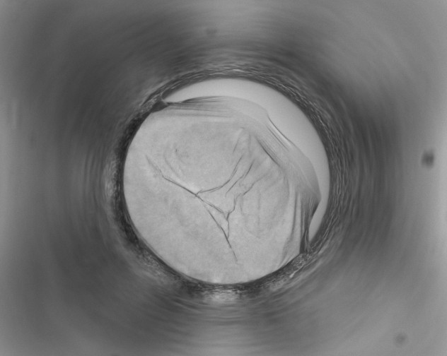 X0000116630600201001221402