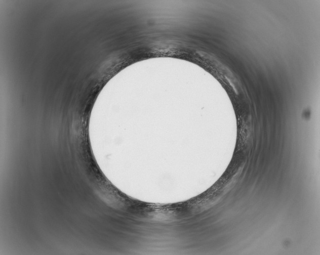 X0000116630601201001221402